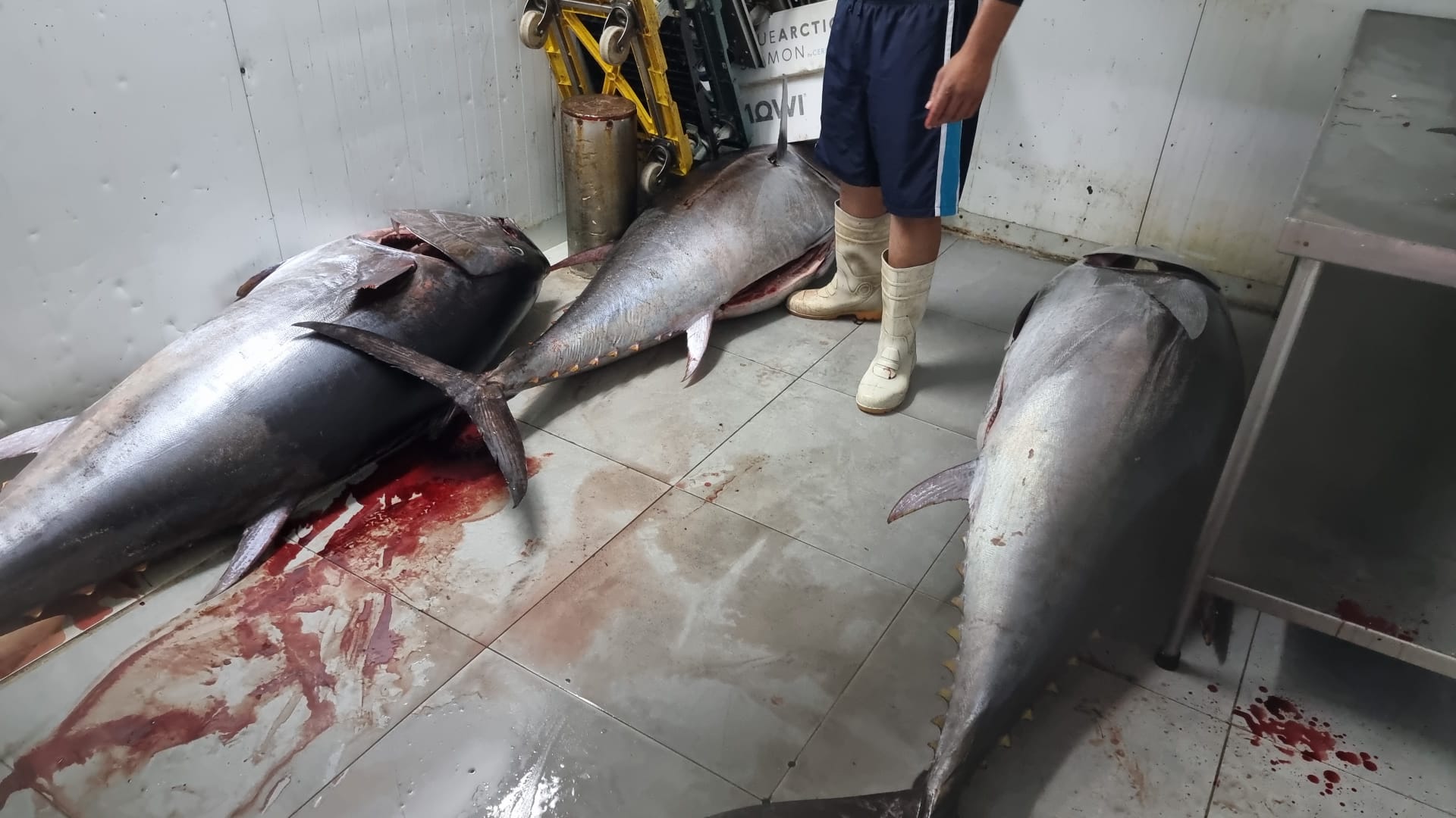 WhatsApp Image 2022-06-10 at 5.29.28 PM.jpeg